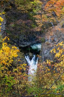 秋の鳳鳴四十八滝⑿ 秋,紅葉,滝の写真素材