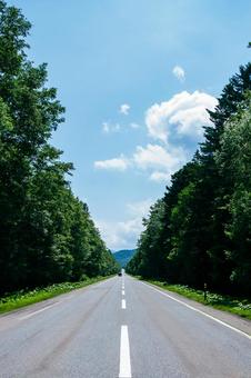 まっすぐに続くアスファルト道路 まっすぐに続くアスファルト道路の写真