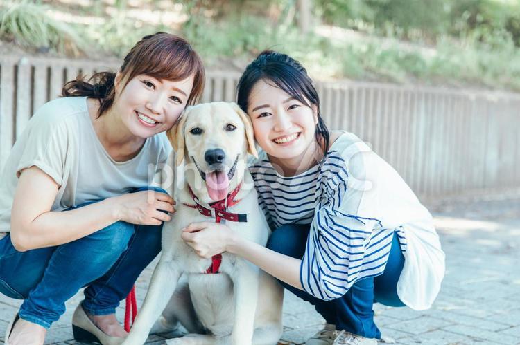 犬の散歩をする女性たち 愛犬家,愛犬,譲渡会の写真素材