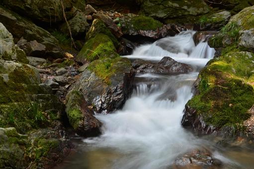 森の中を流れる小川の風景 森の中を流れる小川の風景 小川,沢,渓流の写真素材