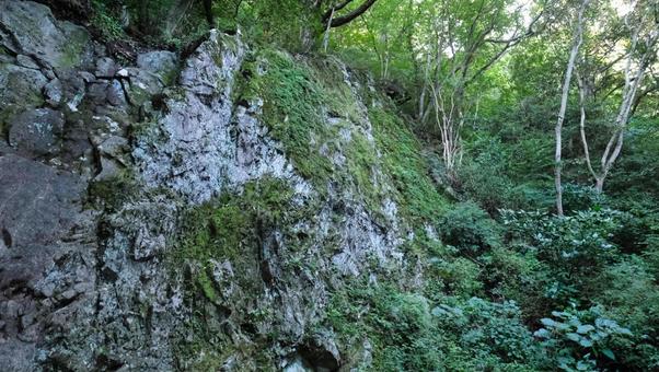 森で見つけた石の周りに苔がついた風景 森で見つけた石の周りに苔がついた風景の写真
