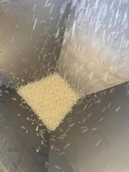 精米中のお米 米,精米中,riceの写真素材