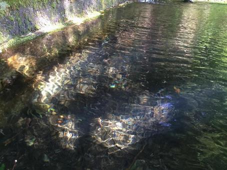 透明な水と光が織りなす、美しい模様 透明な水と光が織りなす、美しい模様の写真