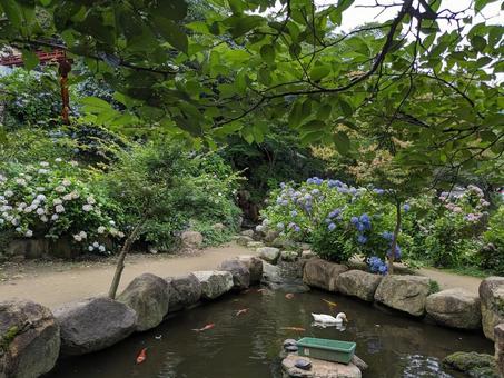 日本庭園 日本庭園の写真