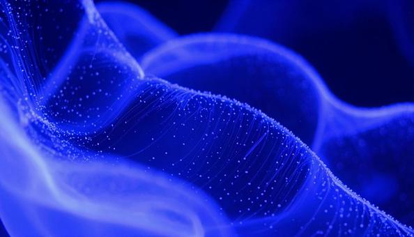 バイオテクノロジーのイメージ バイオテクノロジーのイメージの写真