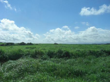 草原ボケ背景-51 草原ボケ背景-51の写真