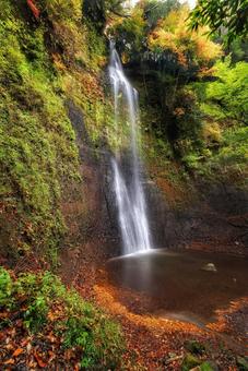 紅葉の滝の写真