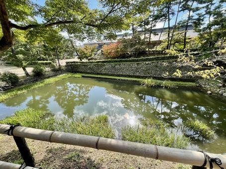 京都　池の水鏡 水鏡,写り込み,空の写真素材