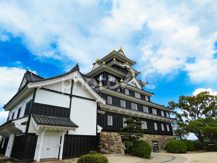 そびえる岡山城の天守閣 岡山城,烏城,天守閣の写真素材