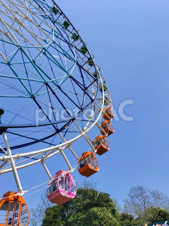 ひたち海浜公園大観覧車を見上げる　縦 国営ひたち海浜公園,大観覧車,観覧車の写真素材
