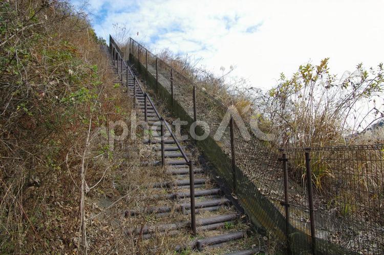 雑草の生えた階段 階段,雑草,過疎の写真素材