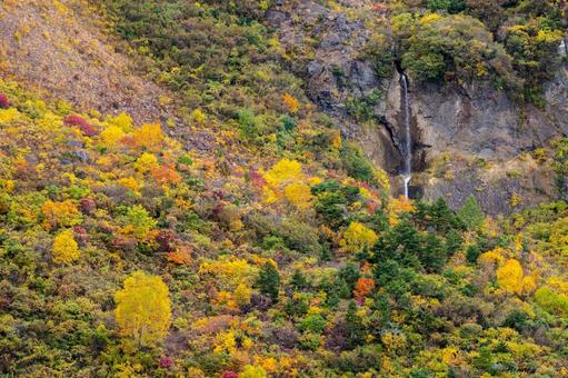 蔵王の紅葉(24)の写真