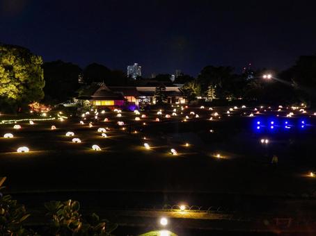 ライトアップされた岡山後楽園 岡山後楽園,ライトアップ,秋の幻想庭園の写真素材