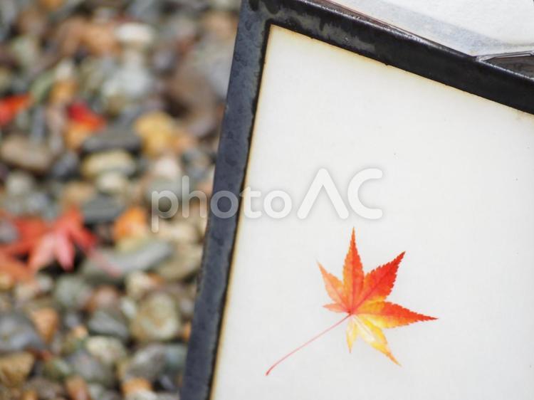 もみじのついたランタンのアップ 紅葉,もみじ,秋の写真素材