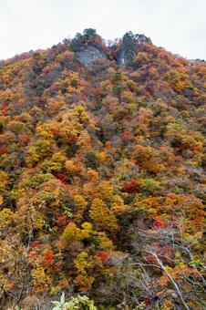 鳴子ダムの紅葉⑵の写真
