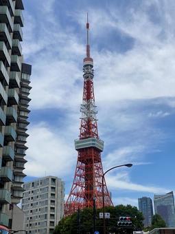 東京タワー 東京タワー タワー,風景,東京タワーの写真素材