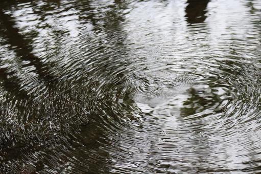 丸く波紋の広がる池の風景 丸く,波紋,広がるの写真素材