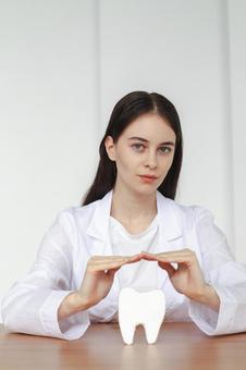 歯の模型を守る女性スタッフ　カメラ目線 歯科,医療,予防の写真素材