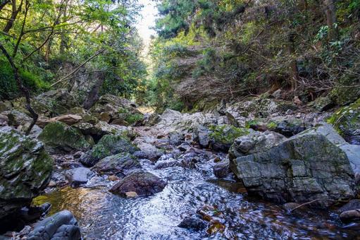 静岡県浜松市　秋の仙厳の滝　渓谷 日本,静岡県,浜松市の写真素材