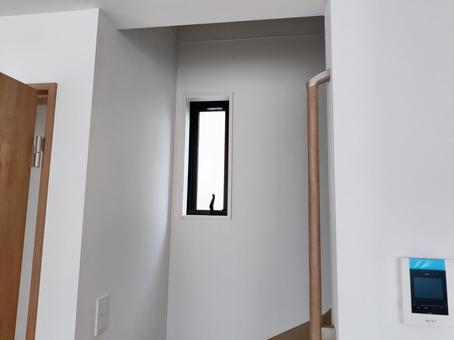 白壁と縦長の小窓がある空間 窓,小窓,室内の写真素材