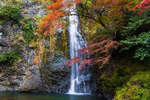紅葉風景 紅葉風景,紅葉,箕面の写真素材