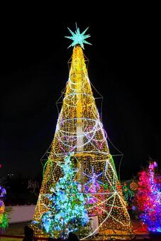 国営備北丘陵公園イルミネーション ライトアップ,冬,国営備北丘陵公園の写真素材