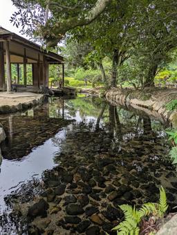 水面に映る自然 水面,美しい,庭園の写真素材
