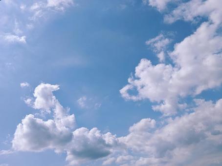 夏空 夏空の写真
