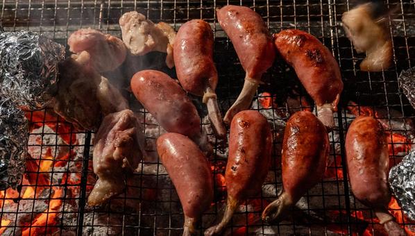 コテージバーベキュー コテージバーベキュー バーベキュー,bbq,骨付きソーセージの写真素材