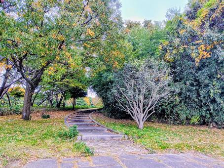 葛西臨海公園 葛西臨海公園,石,木の写真素材