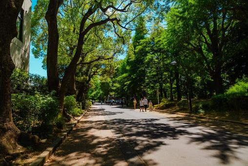 【東京】上野国立博物館 2025 【東京】上野国立博物館 2025の写真