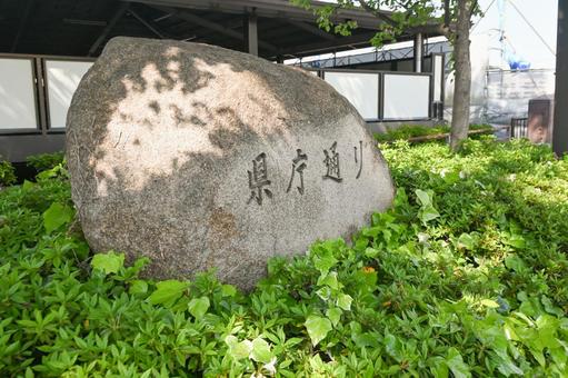 県庁通り 県庁通りの写真
