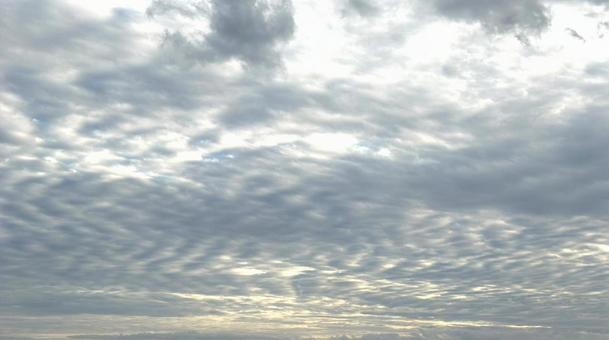 秋のうろこ雲 秋のうろこ雲の写真