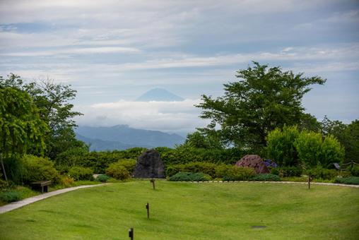 雲間に浮かぶ富士山と緑の庭 自然,風景,庭園の写真素材