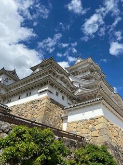 そびえ立つ姫路城天守閣(白鷺城) そびえ立つ姫路城天守閣(白鷺城) 姫路城,天守閣,城の写真素材
