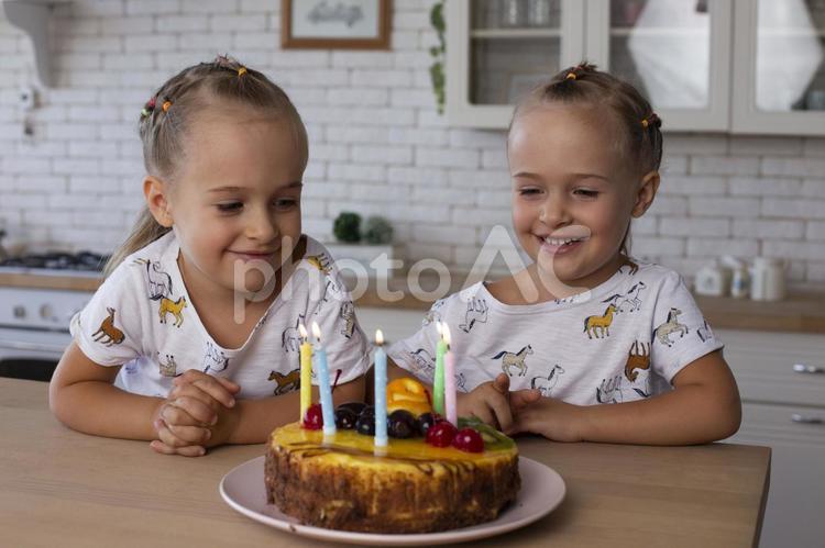 バースデーケーキと双子の女の子 双子,姉妹,女の子の写真素材