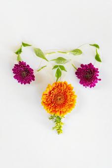 花と葉を並べてできた子宮 生理,月経,子宮の写真素材