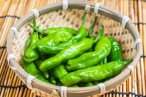 Fresh shishito peppers in a bamboo basket, JPG
