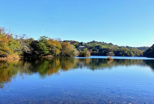 秋の映り込み　一碧湖 映り込み,反射,紅葉の写真素材