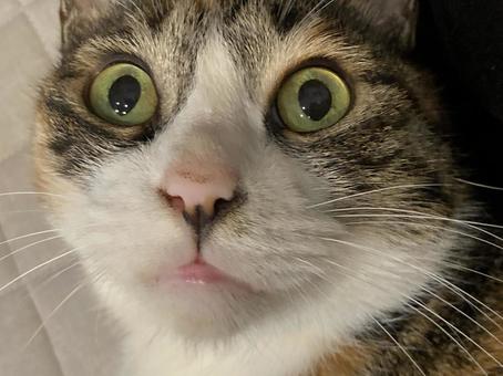 エッ、、、何? エッ、、、何?の写真