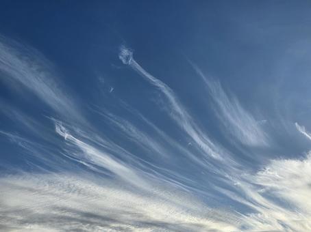 青空に走る雲 青空に走る雲の写真