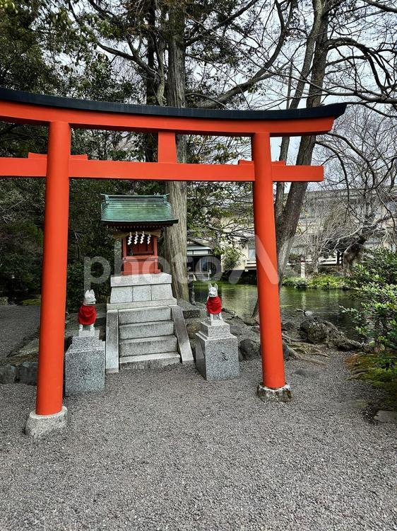 富士山本宮浅間大社　冬　小雨　富士山 浅間神社の総本宮,富士山信仰,静岡県富士宮市宮町1ー1の写真素材