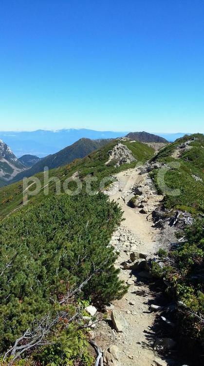 日本　山梨　仙丈ケ岳 日本,山梨,仙丈ケ岳の写真素材