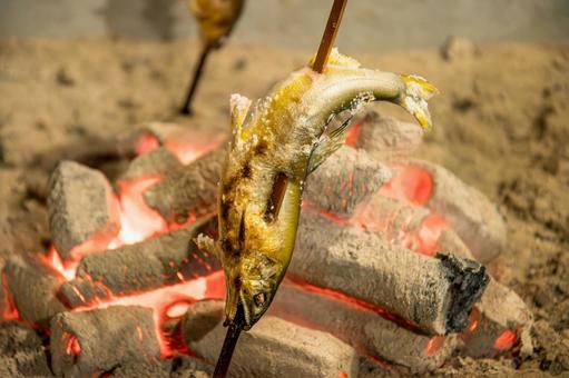 遠赤外線効果の炭火でアユの塩焼き 遠赤外線効果の炭火でアユの塩焼きの写真