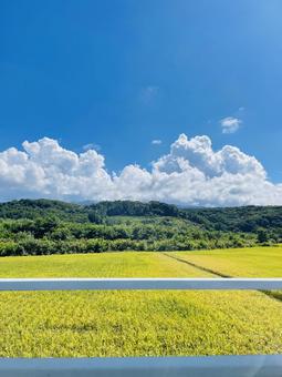 青空田んぼガードレール 青空田んぼガードレール 青空,空,晴れの写真素材