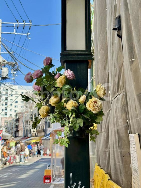 街中の薔薇の造花 バラ,薔薇,造花の写真素材