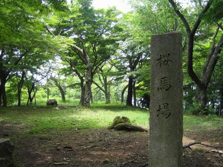 Photo, little valley city, kotaniyama, nagamasa asai, 
