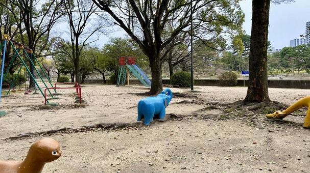 公園 公園 木,自然,道の写真素材