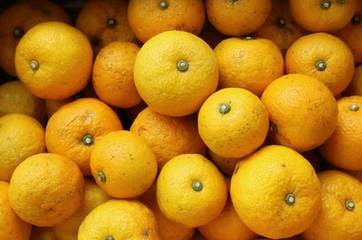 ゆず② 柚子,食べ物,柑橘の写真素材