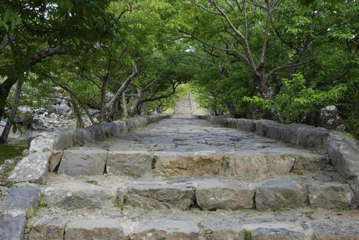 World Heritage Site Nakijin Castle, JPG